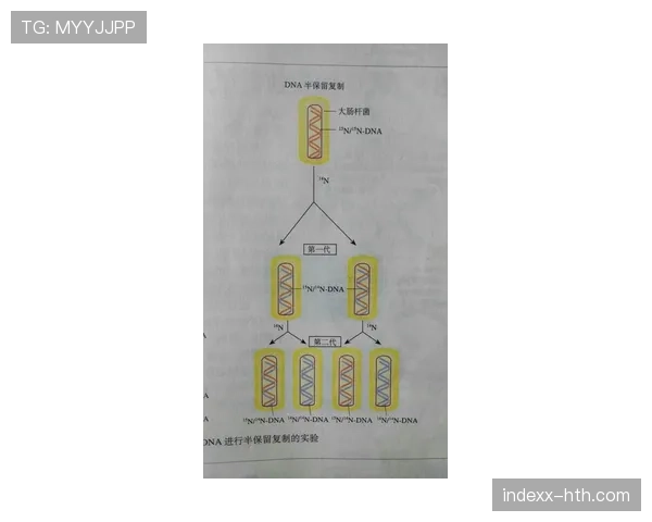 帕利尼亚攻防转换中的破坏作用解析